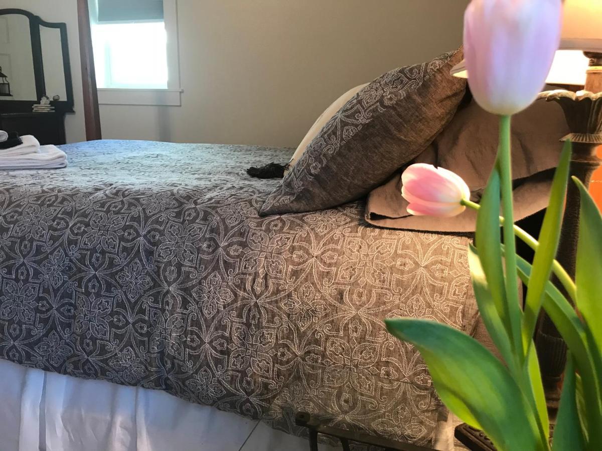 Snowgoose Pond Bed & Breakfast Palmer Dış mekan fotoğraf